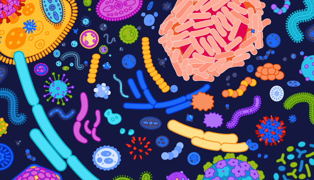 Understanding the Microbiome: The Tiny World Inside&nbsp;You